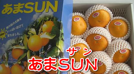 沖縄産 あまSUN(あまさん)