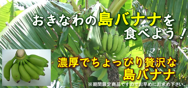 沖縄　島バナナの販売