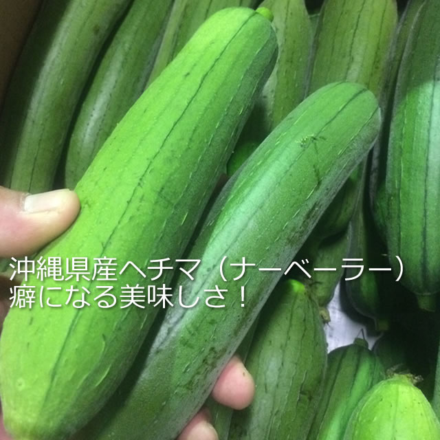 沖縄県ヘチマ通販