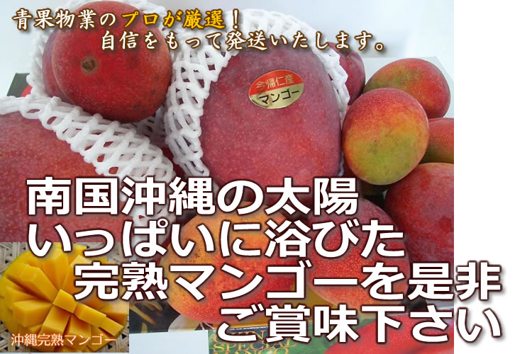 沖縄完熟マンゴー通販