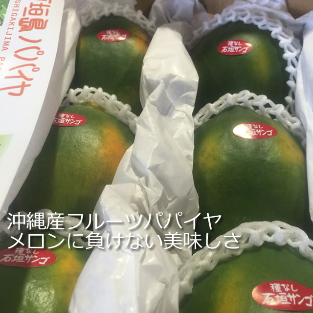 沖縄産フルーツパパイヤ通販