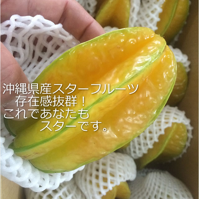 沖縄県スターフルーツ通販