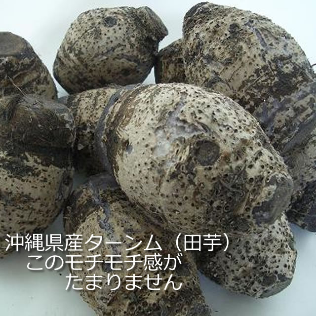 沖縄県ターンム（田芋）の通販