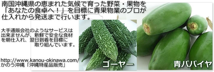 沖縄の野菜・果物通販